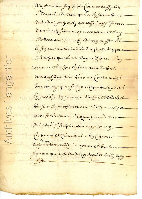 Document 007